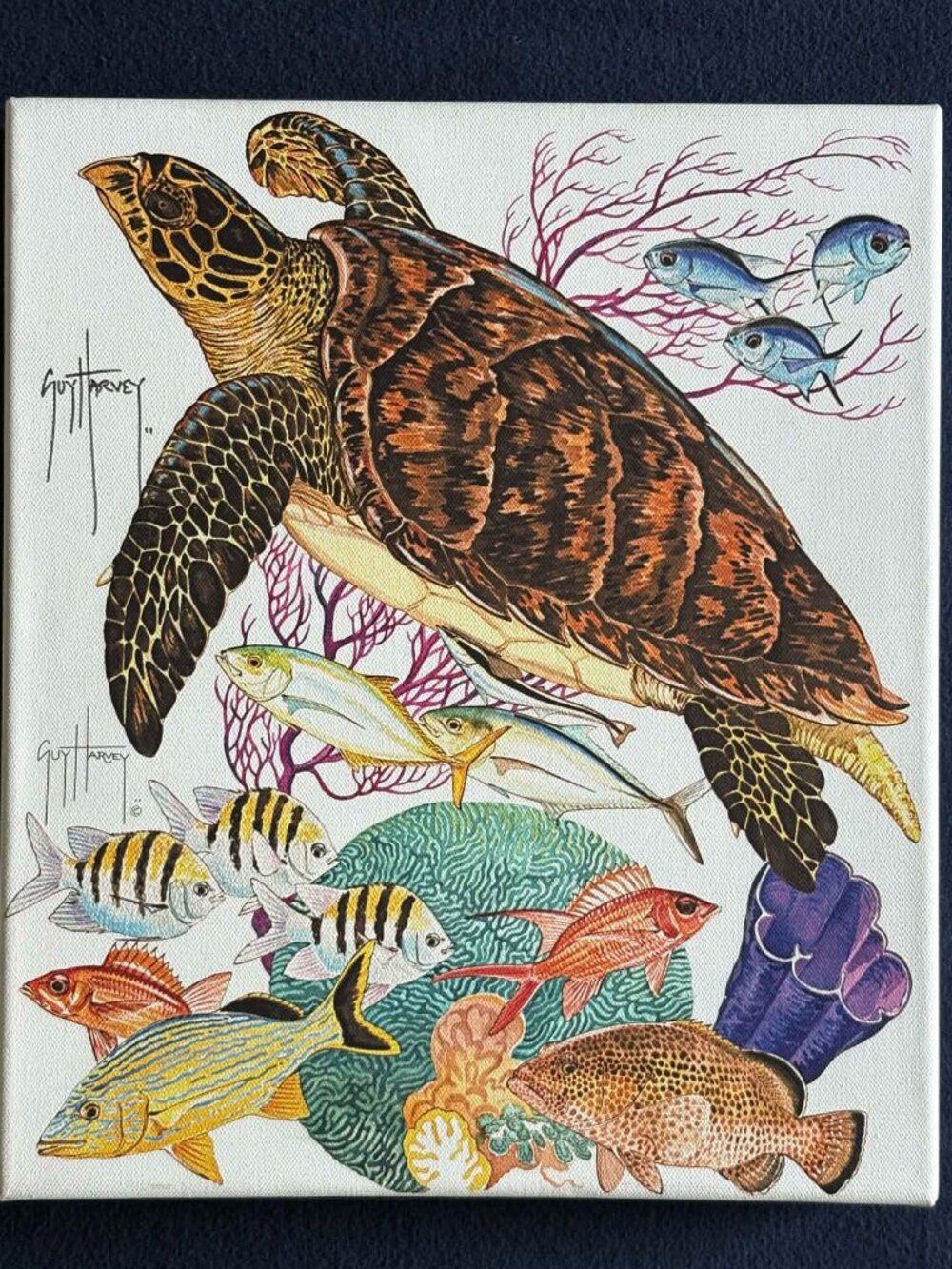Signed Guy Harvey Sea Turtle Canvas 12x14 – Jamaica Fundraiser - Picture 7 of 8